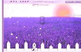 轻客竟然抢了MPV的饭碗？江铃福特全顺T8满级装备玩真的！